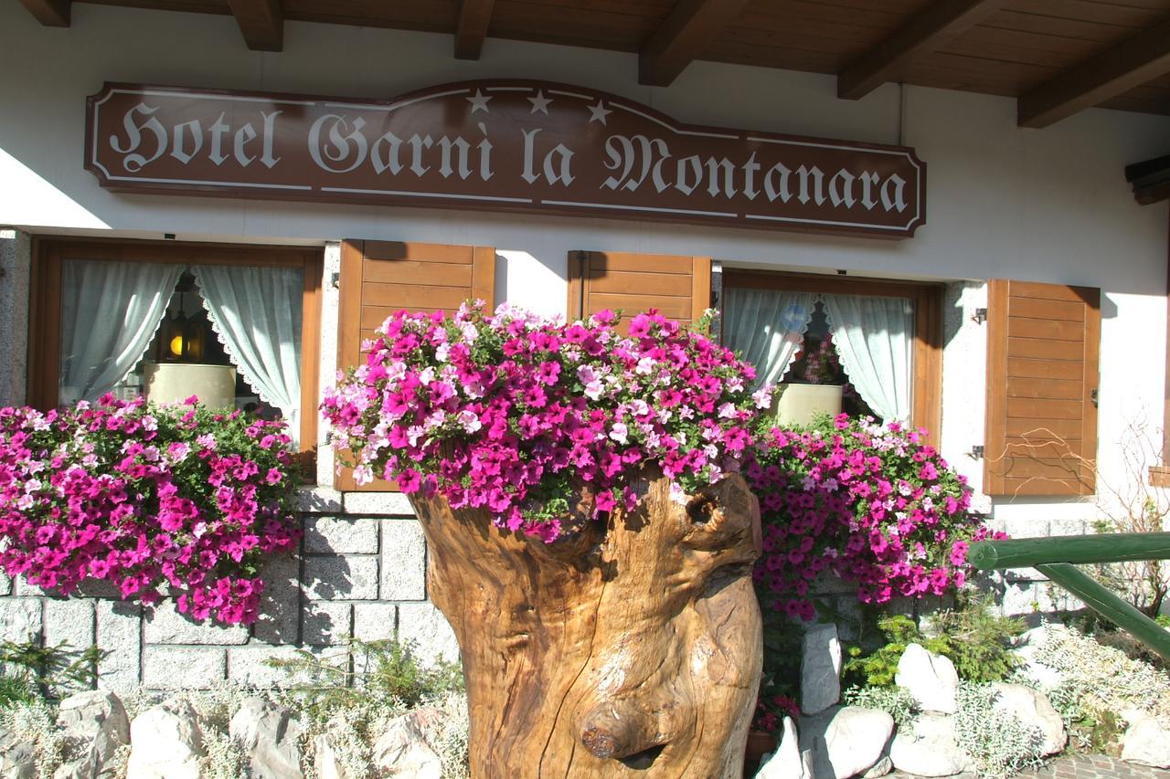 Hotel Garni La Montanara Madonna di Campiglio Bagian luar foto